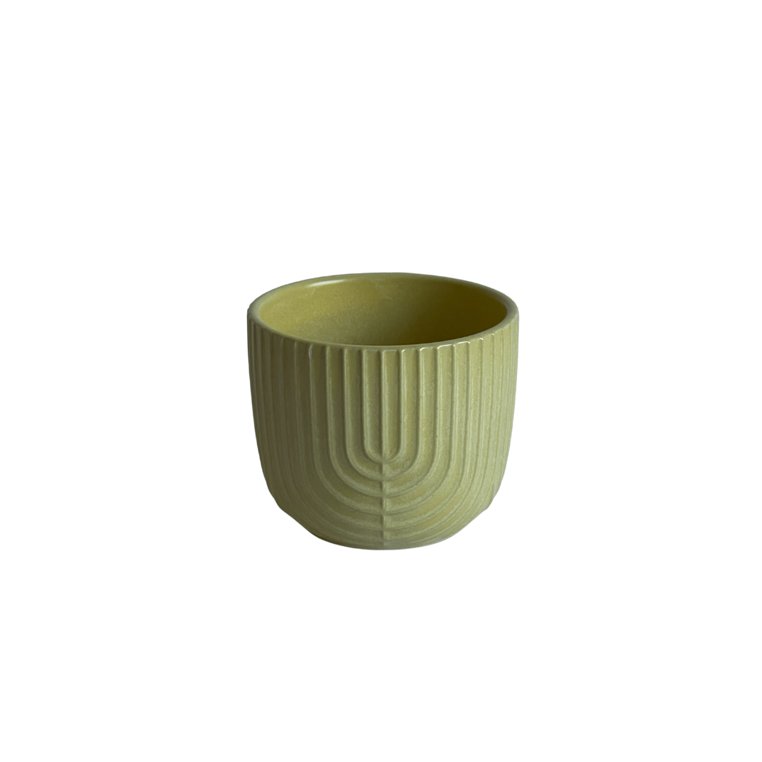 Pot jaune strié