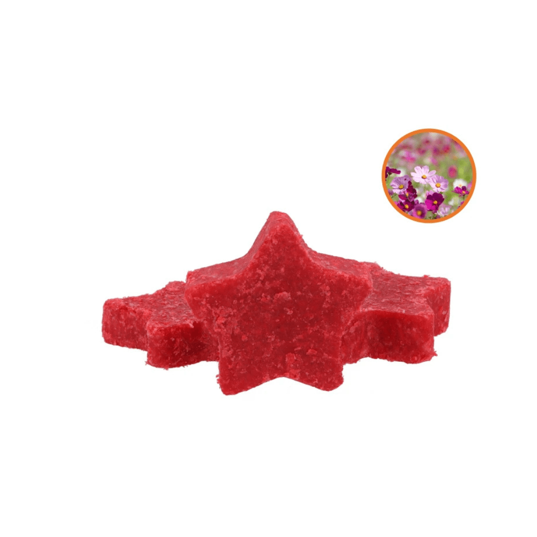 Mini bougie en forme d’étoile au parfum fleurs sauvages. Cire végétale. Bougie décorative et parfumée. Idéale en idée cadeau, décoration ou ambiance cocooning.