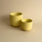 Pot jaune strié