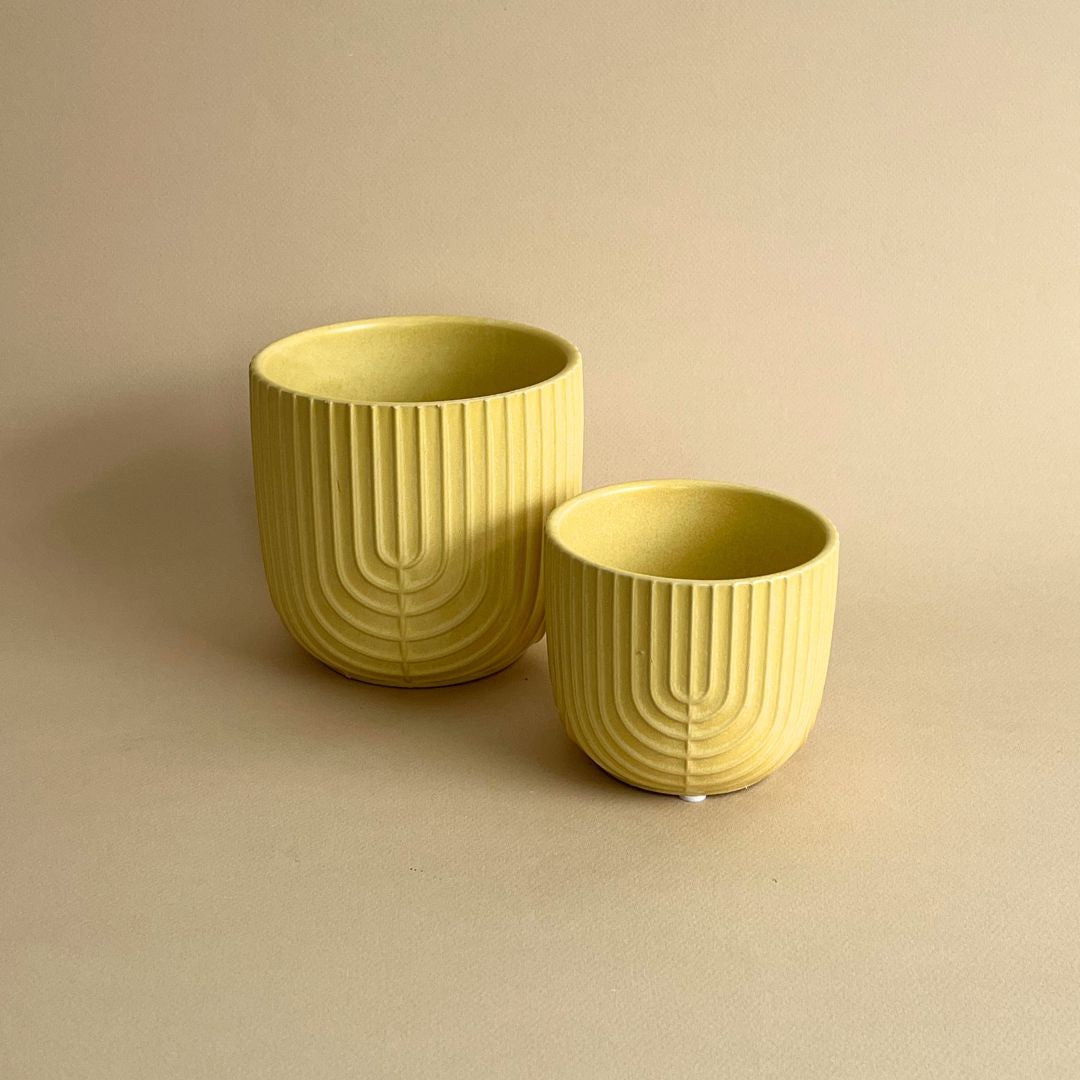 Pot jaune strié